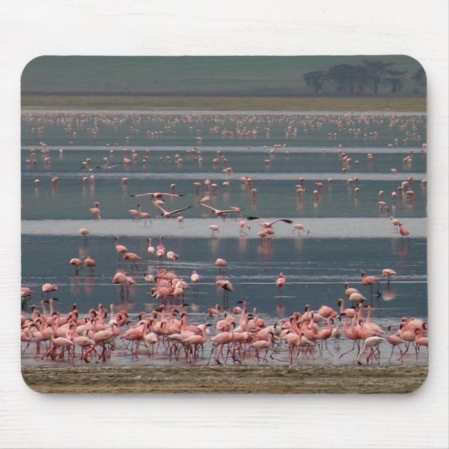 Recolha de Flamingo - Mousepad (Frente)