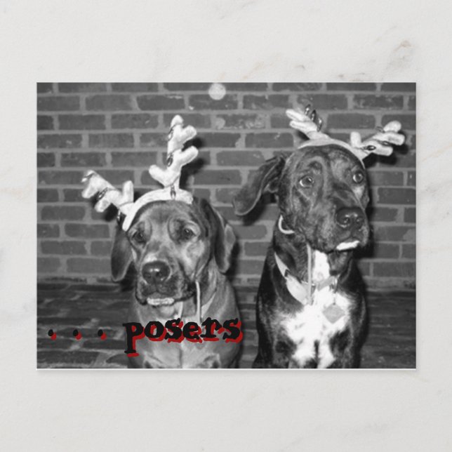 recontraste de registro do cartão xmas, . . ... .. (Frente)