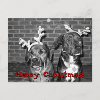 recontraste do cartão xmas, Feliz Natal!!!,...