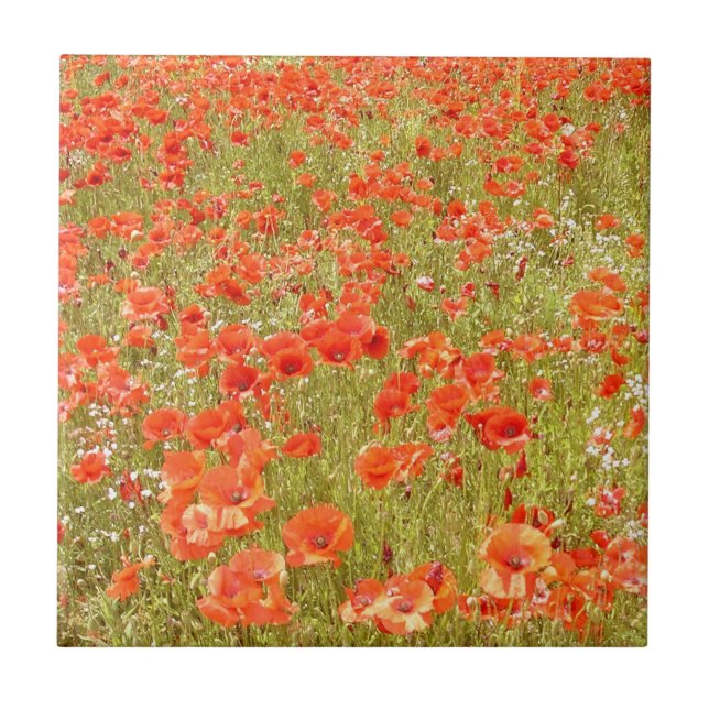 RECORDE-ME AZULEJO (Frente)