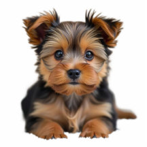 Recorte de Escultura de Foto do Seu Cachorro 