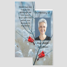 Recuerdo Memorial Cardinal Vermelho 