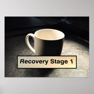 RECUPERE O POSTER DO PALCO 1