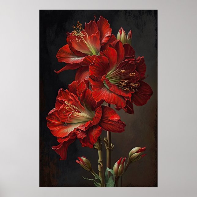 Red Amaryllis Flower Art Poster (Frente)