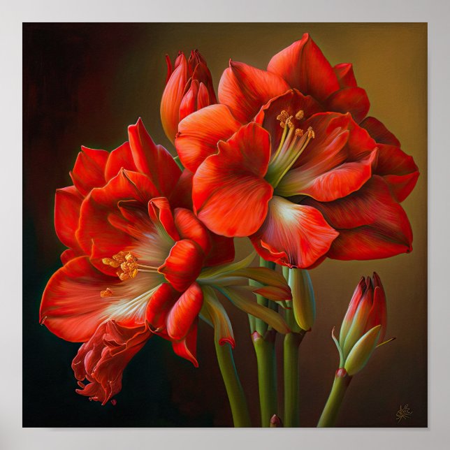 Red Amaryllis Flower Art Poster (Frente)