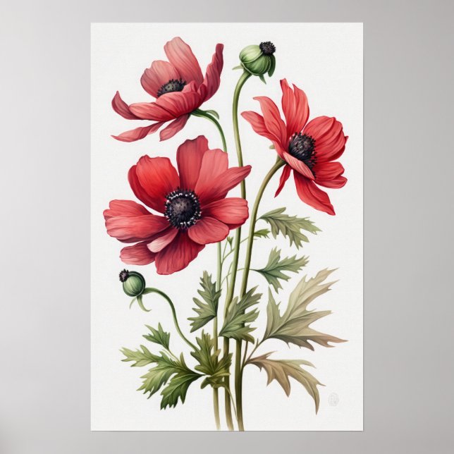 Red Anemone Flowers Art Impressão Poster (Frente)