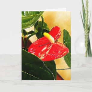 Red Anthurium Floral Fotografia Modelo