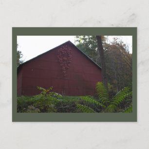 Red Barn com cartão postal Ivy