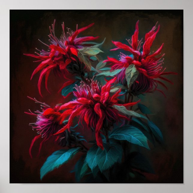 Red Bee Balm Flower Art Impressão Poster (Frente)