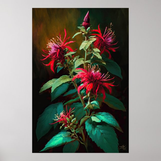 Red Bee Balm Flower Art Impressão Poster (Frente)
