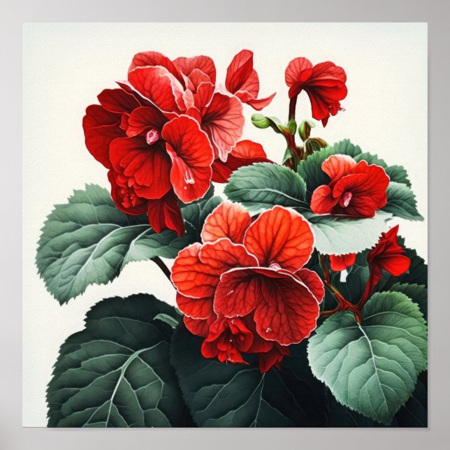 Red Begonias Flower Art Impressão Poster (Frente)