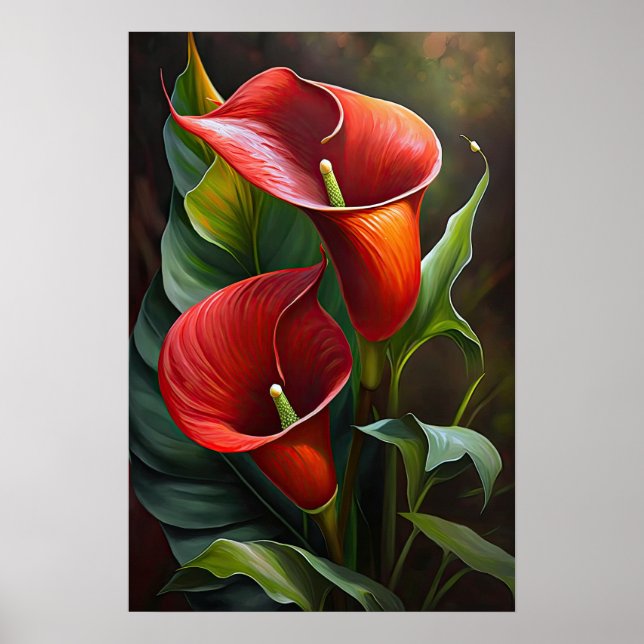 Red Calla Lily Flower Art Impressão (Frente)