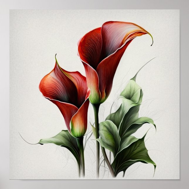 Red Calla Lily Flower Art Impressão (Frente)