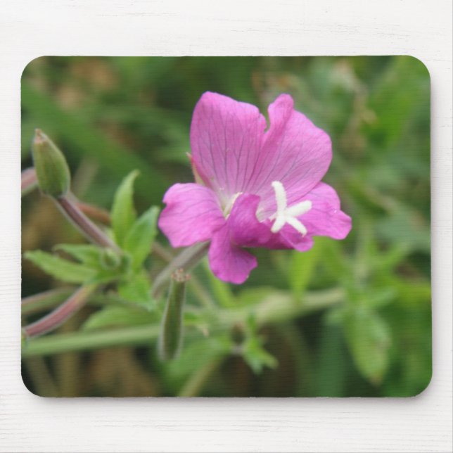 Red Campion Wildflower Mousepad (Frente)