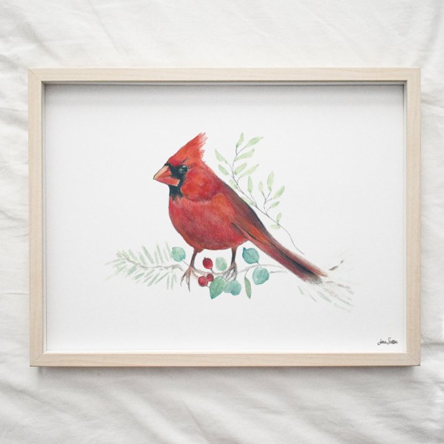 Red Cardinal Watercolor Art Impressão (Criador carregado)