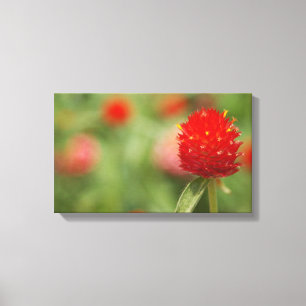 Red Clover Canvas Art