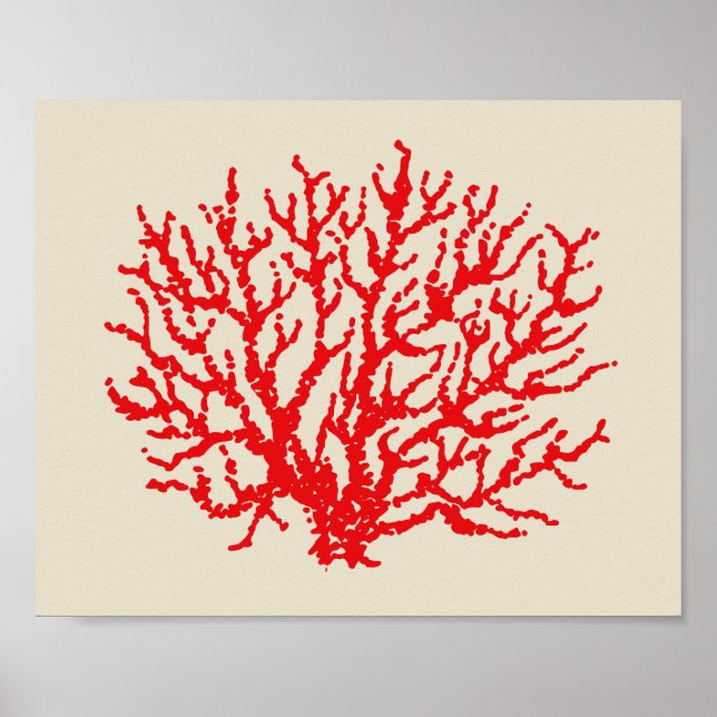 Red Coral Beach Wall Art Poster Impressão Decor (Frente)