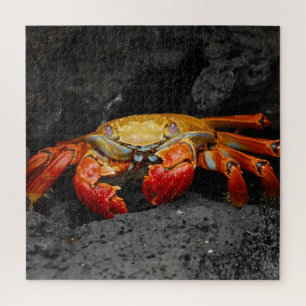Red Crab - Quebra-cabeça