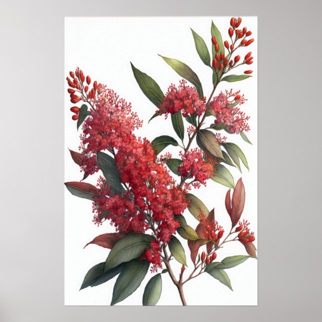 Red Crepe Myrtle Flowers Art Impressão Poster (Frente)