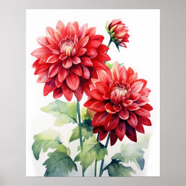 Red Dahlia Flowers Art Impressão Poster (Frente)