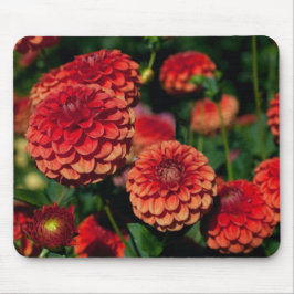 Red Dahlia Mouse Pad