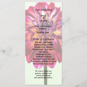 Red Dahlia Tinado com Programa Casamento Amarelo