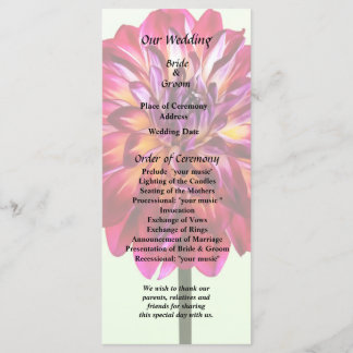 Red Dahlia Tinado com Programa Casamento Amarelo