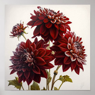 Red Dahlias Flower Art Impressão Poster