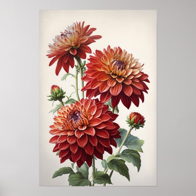Red Dahlias Flowers Art Impressão (Frente)