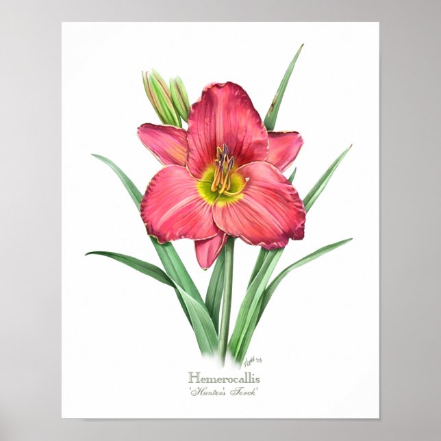 Red Daylily Original Art Impressão (Frente)