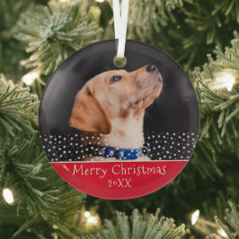 Red Dog Pet Photo Christmas Holiday Keepsasasaket