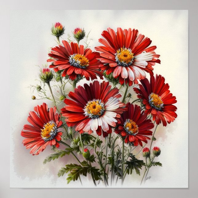 Red English Daisy Flower Art Impressão Poster (Frente)