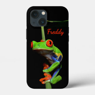 Red Eyed Painted Tree Frog Personal Name