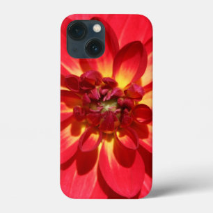 Red Fire Dahlia Flower