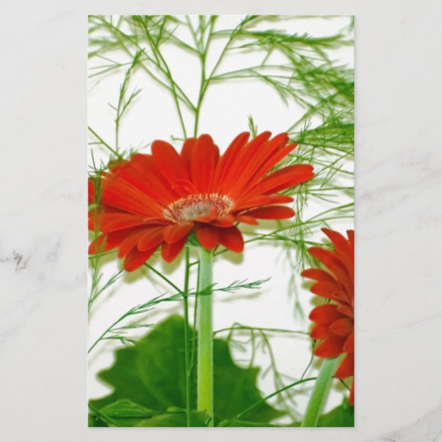 Red Floral (Frente)