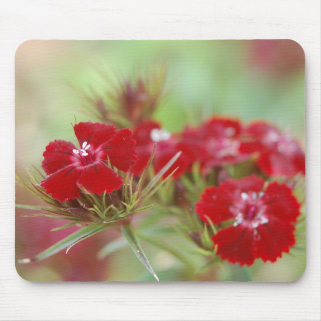 Red Floral Garden Mousepad (Frente)