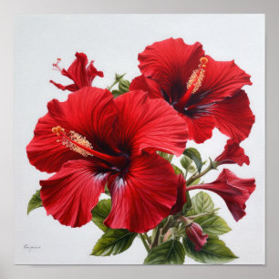 Red Hibiscus Flower Art Poster