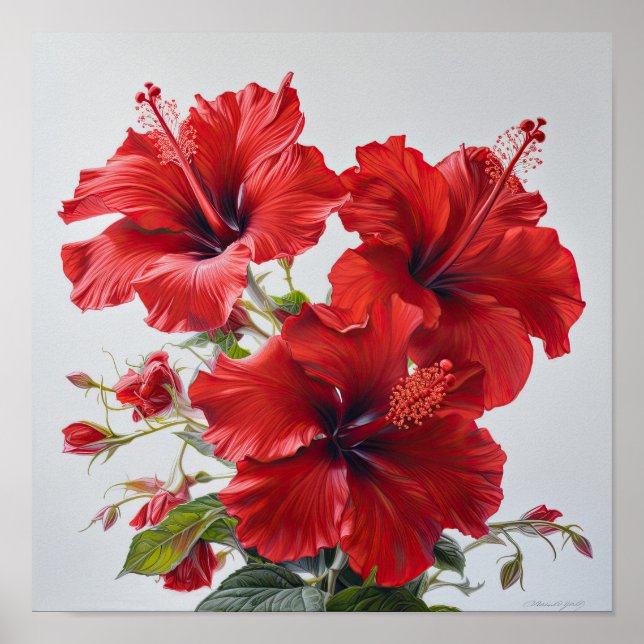 Red Hibiscus Flower Art Poster (Frente)
