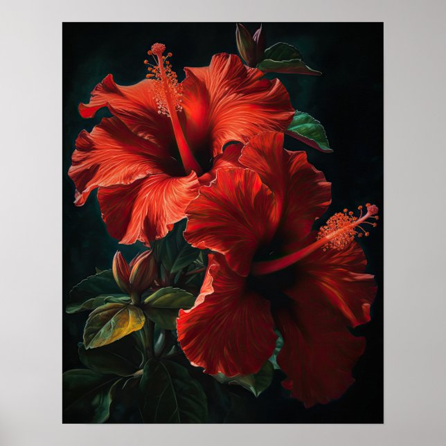 Red Hibiscus Flowers Art Impressão (Frente)