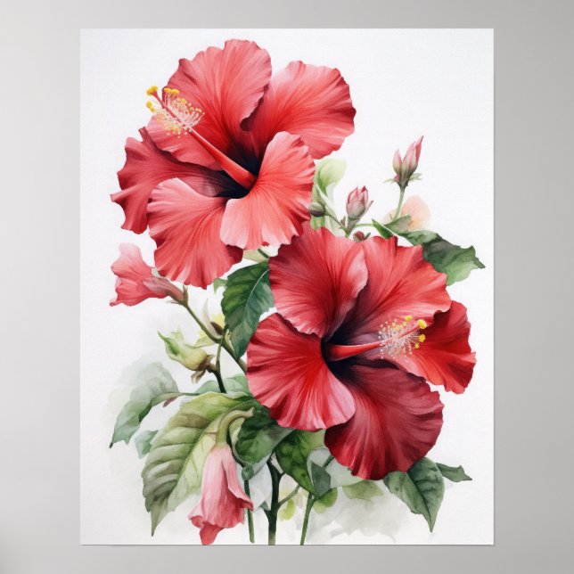 Red Hibiscus Flowers Art Impressão (Frente)