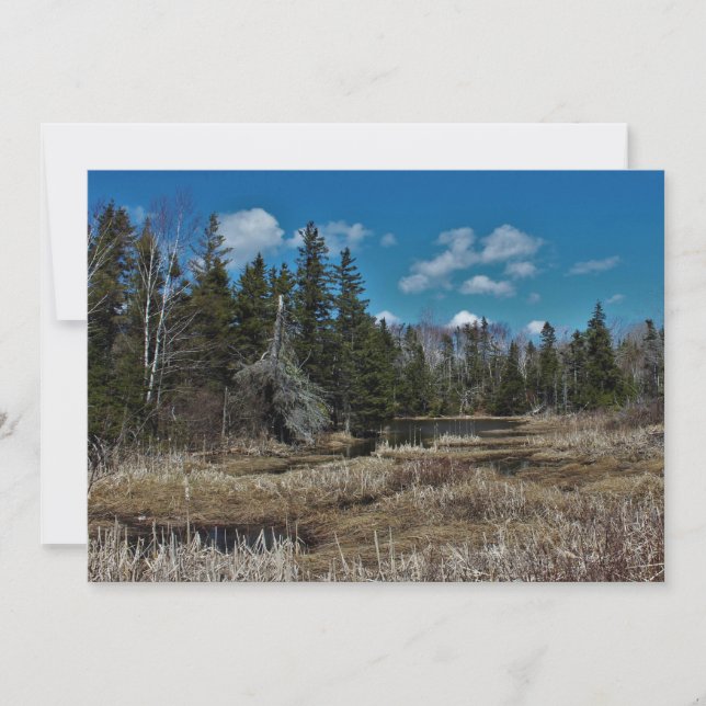 Red Island Pond (Frente)