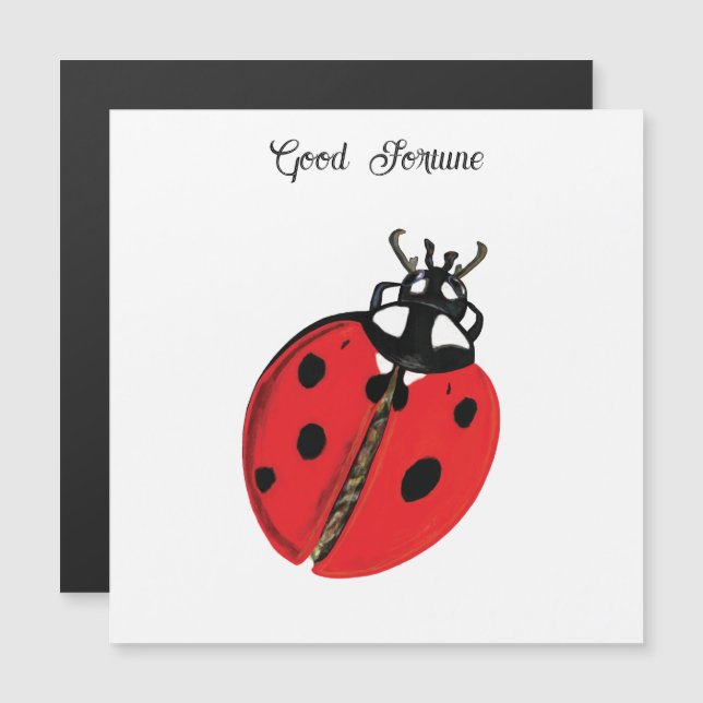 Red Lady Bug Boa Sorte Embaixadora Ilustração (Frente/Verso)