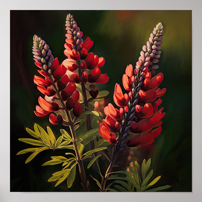 Red Lupine Flower Art Impressão (Frente)