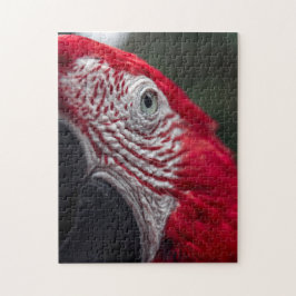 Red Macaw - Quebra-cabeça de fotos de alta definiç