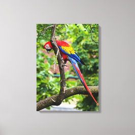 Red Macaw Wall Art Canvas