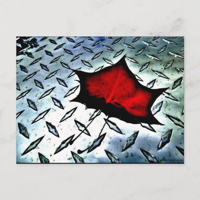 "Red Maple" Cartão Postal de Arte JTG (Frente)
