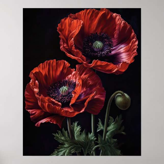 Red Oriental Poppy Flowers Art Impressão Poster (Frente)