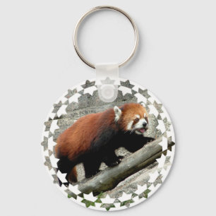 Red Panda Chaveiro