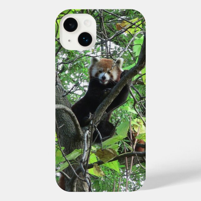 Red Panda iPhone Case (Verso)