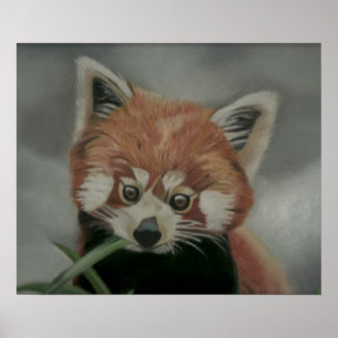 Red Panda Pastel Painting Artwork Poster
